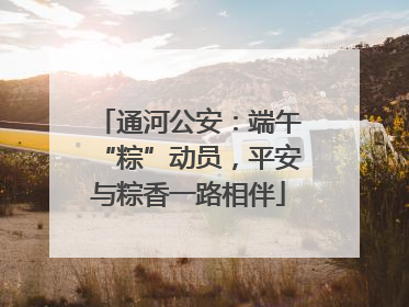 通河公安：端午“粽”动员，平安与粽香一路相伴